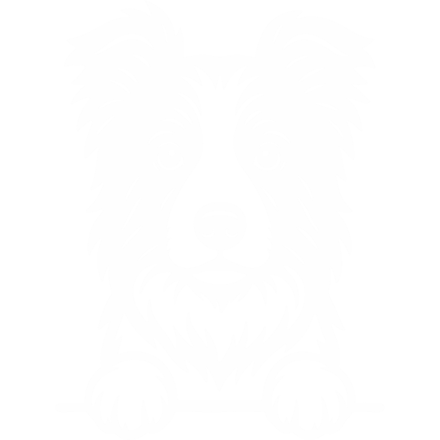 Naklejka Border Collie