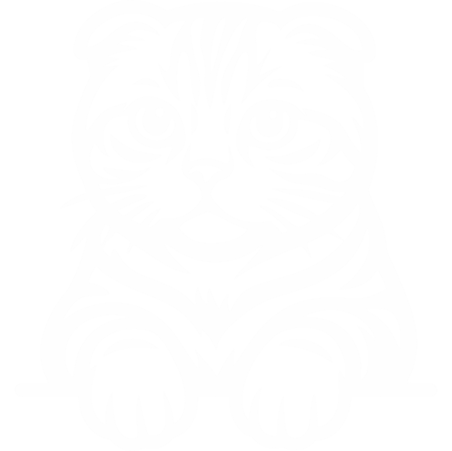Kot Szkocki Zwisłouchy