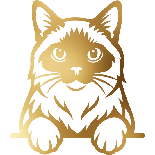 Naklejka Kot Ragdoll