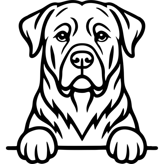 Naklejka Rottweiler