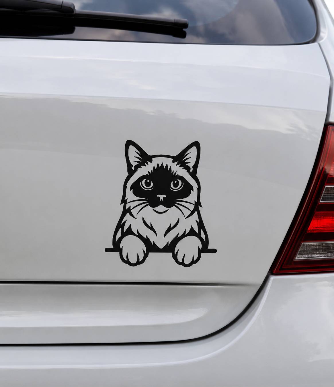 Naklejka Kot Ragdoll