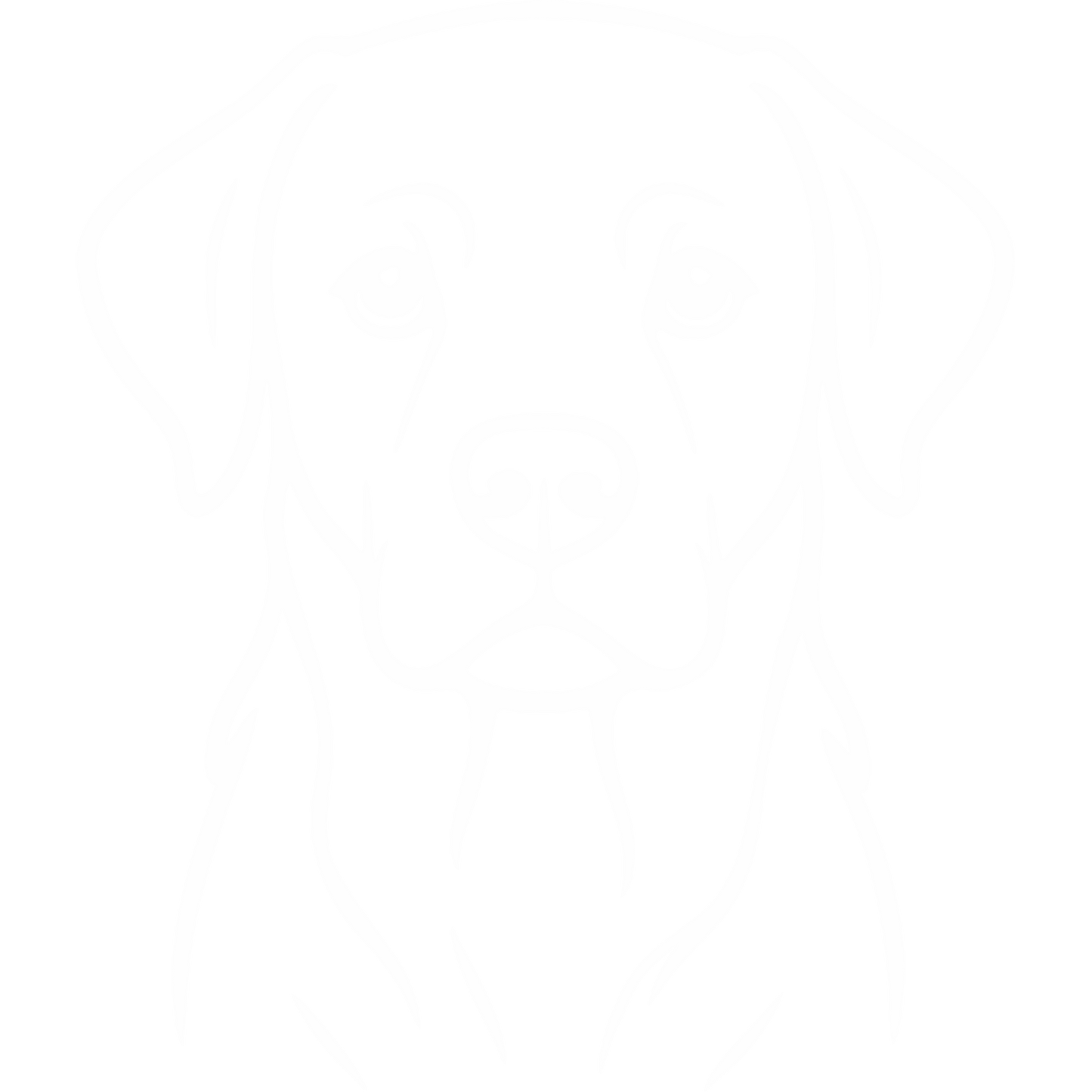 Naklejka Labrador