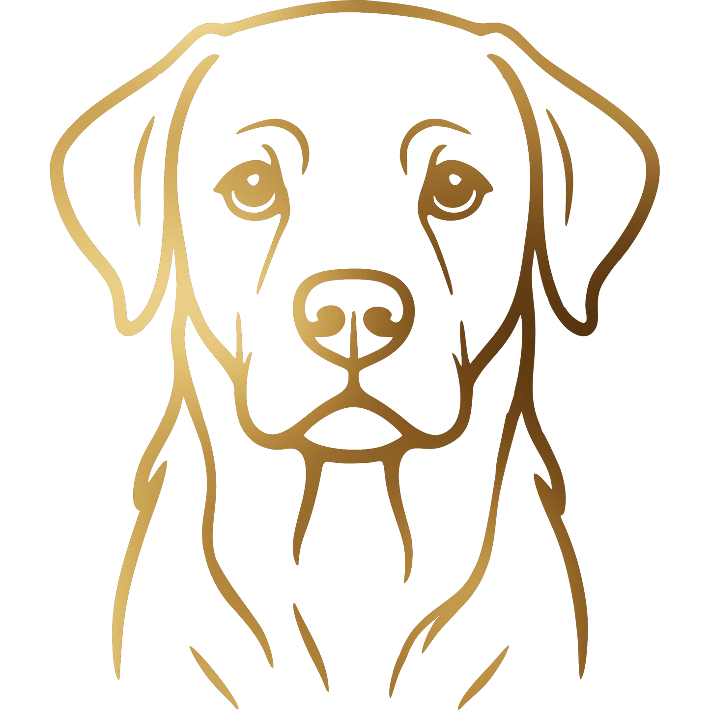 Naklejka Labrador