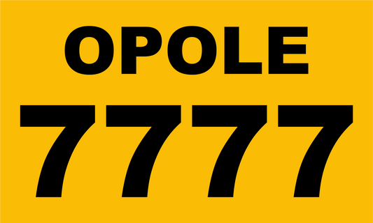 Magnes TAXI – dowolne miasto i numer boczny