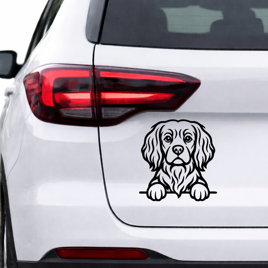 Naklejka Cavalier