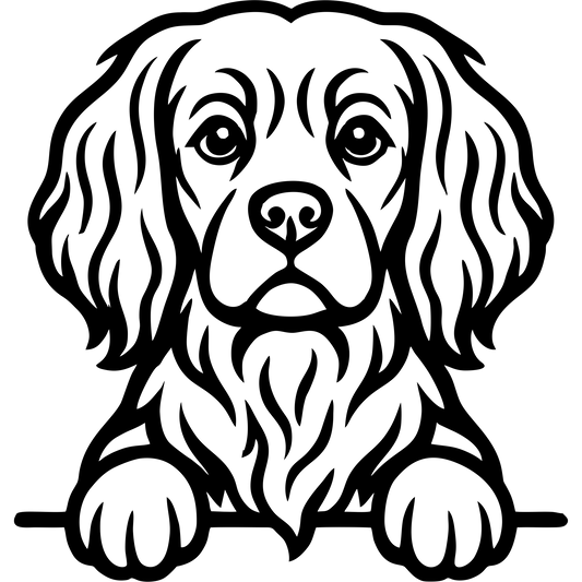 Naklejka Cavalier