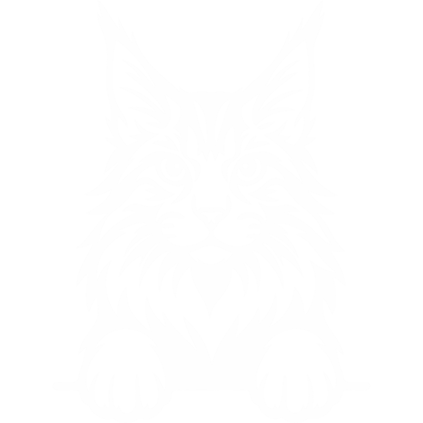 Naklejka Kot Maine Coon