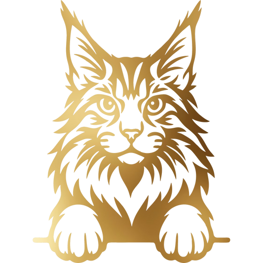 Naklejka Kot Maine Coon