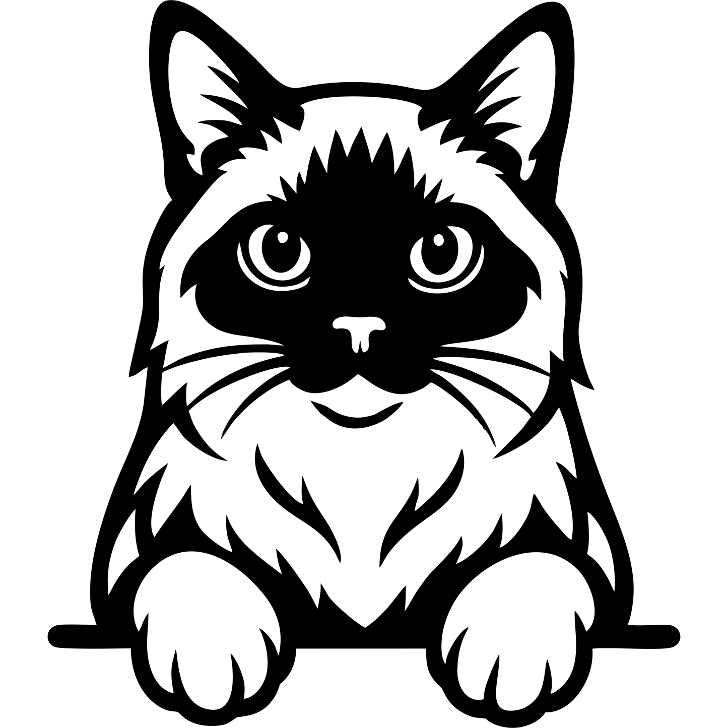 Naklejka Kot Ragdoll