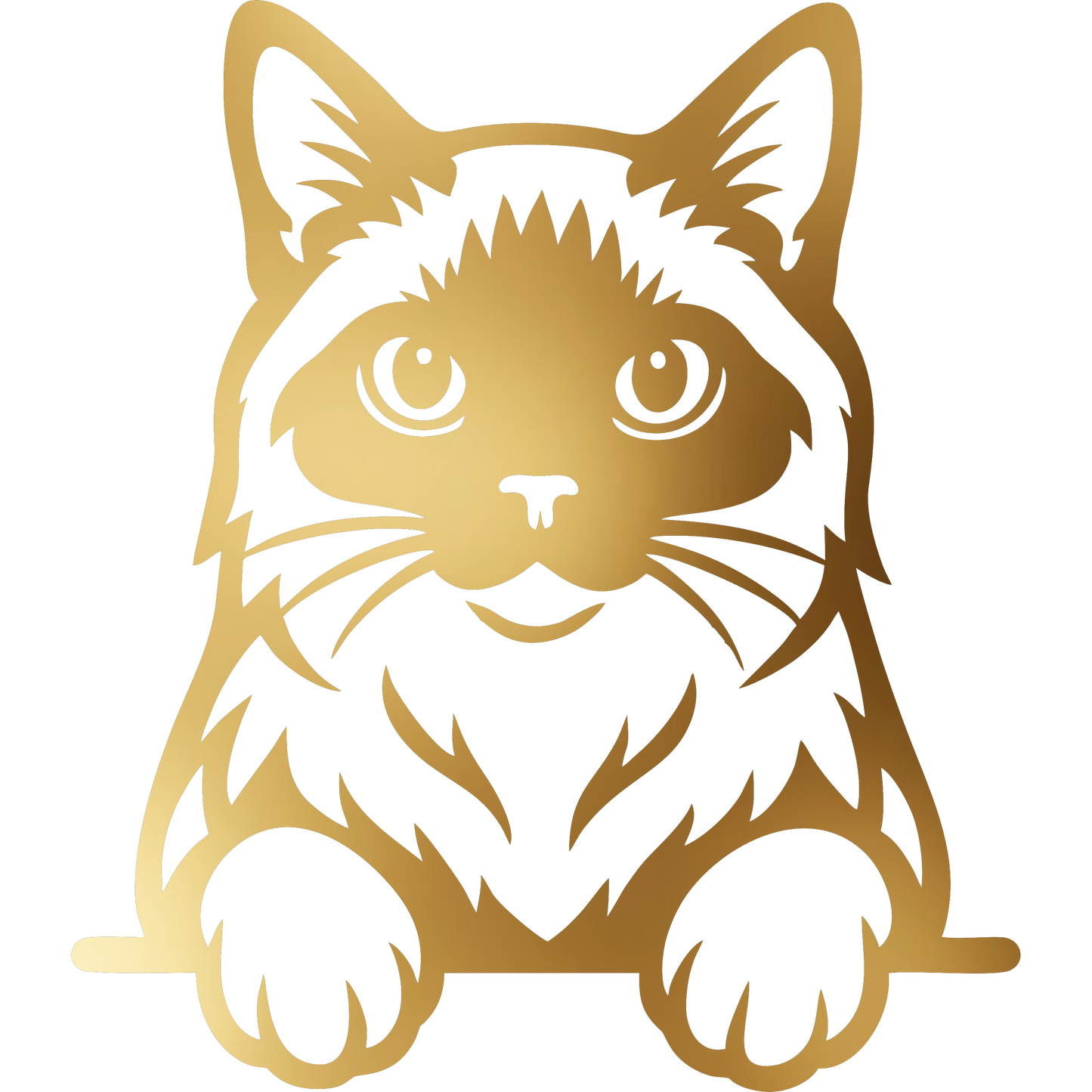 Naklejka Kot Ragdoll